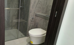 Parc Clematis (D5), Apartment #452108311